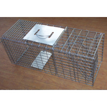 Cages vivantes humanistes de chasse d&#39;animal pour attraper des rats / vison / rongeur